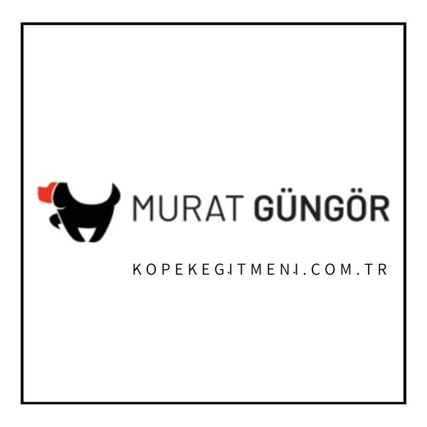 Köpek Eğitmeni, Köpek Eğitim Uzmanı, İstanbul Köpek Eğitim Merkezi, İstanbul Köpek Eğitimi