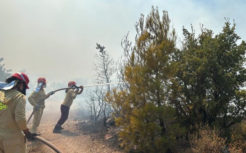 Balıkesir'de orman yangını: Ekipler müdahale ediyor