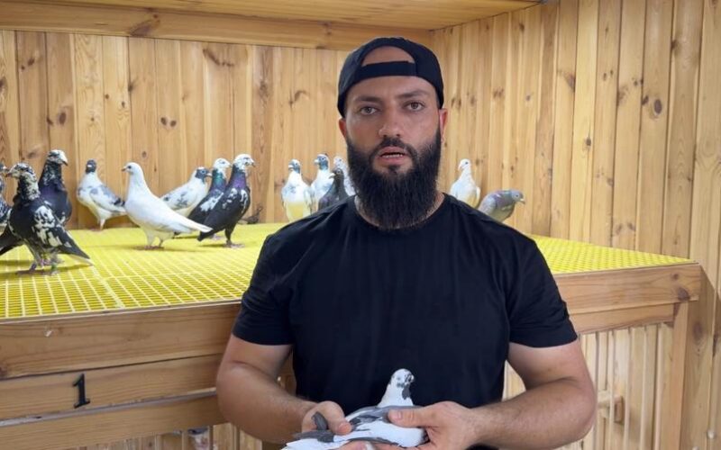 Hatay'da Posta Güvercinleriyle Kurduğu Dünyada Servet Sahibi Oldu