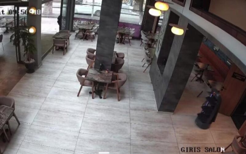 Garson Robot Kendi Kendine Merdivenlerden Düştü