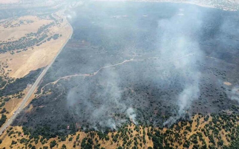 Elazığ'daki Orman Yangını Kontrol Altında