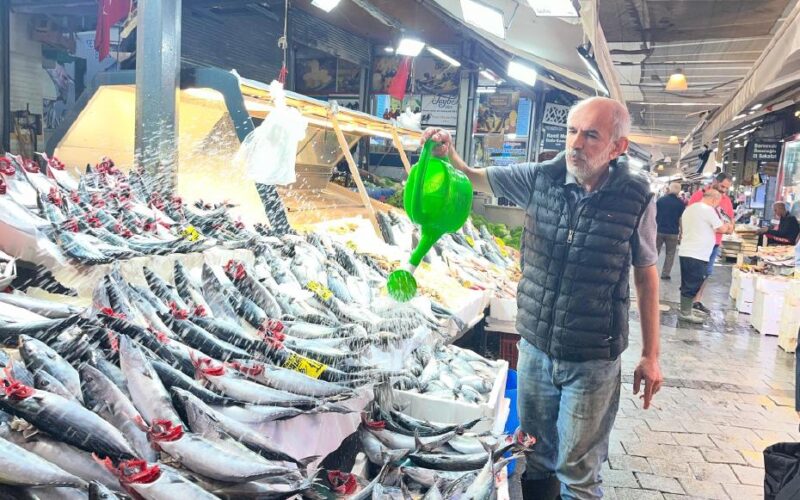 Tezgahların Yeni Şampiyonu: Palamut, Tanesi 100 Lira ile Bütçe Dostu Seçenek Haline Geldi